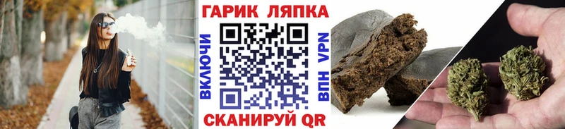 Купить где  Шагонар  ГАШ индика сатива 