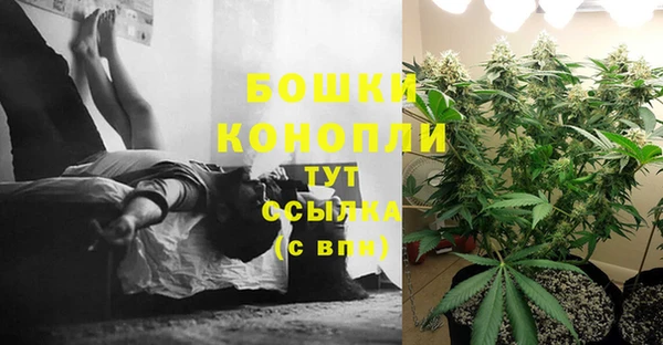 соль ск Новокубанск