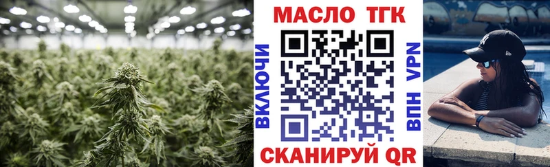 Купить  Шагонар  ТГК концентрат 