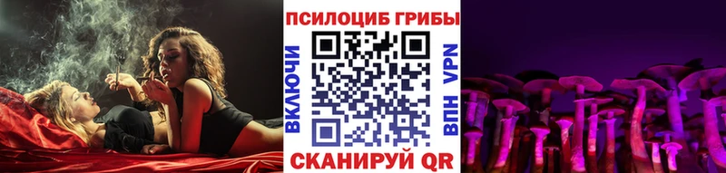 Купить закладки Шагонар Псилоцибиновые грибы Psilocybe